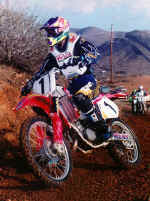 TamiElsinore.jpg (59975 bytes)